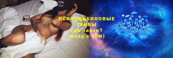 молекула духа Белокуриха
