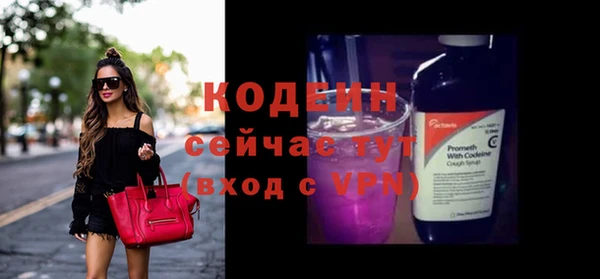 молекула духа Белокуриха