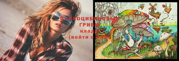 молекула духа Белокуриха