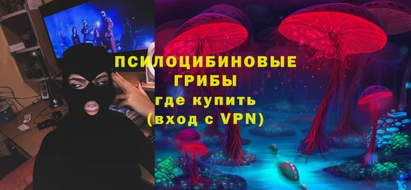 молекула духа Белокуриха