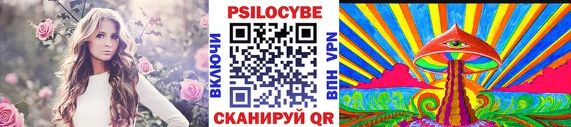 Псилоцибиновые грибы Cubensis  Бутурлиновка 